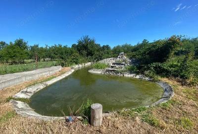 Vanzare proprietate cu 2 case individuale in com. Dragu?e?ti, sat Cirbe?ti - 8