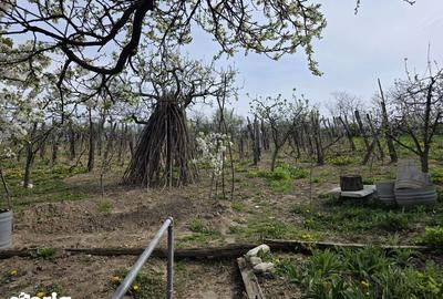 Casă cu 3 camere cu Teren 70 Mp în Secuieni - 4