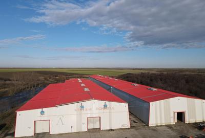 Spațiu industrial, de 1,230 mp, în Carani - 12
