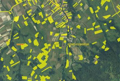 Teren de 3700 mp, în Dalboșeț - 4