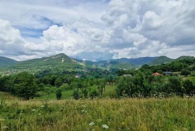 Teren de 5268 mp, în Baia Sprie - 6