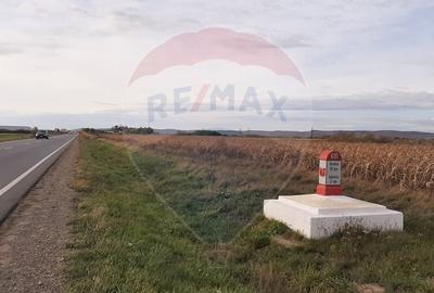 De vanzare teren intravilan, in Sabolciu,  cu deschidere la E 60 - 5