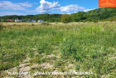 Teren intravilan Rm.Vl. Goranu-Calea Bucuresti 1100 mp aproape de oras - 1
