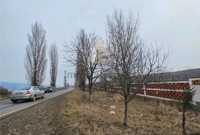 Teren de 57662 mp, în Popeni - 18