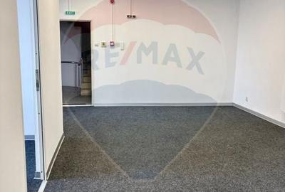 Birou, de 80 mp, în Plevnei - 9