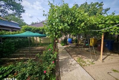 Casă cu 3 camere cu Teren 520 Mp în Siloz - 3