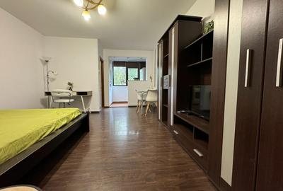 Garsonieră, mobilată în Costin Georgian - 2