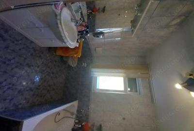 Casă cu 5 camere cu Teren 420 Mp în Elisabetin - 2