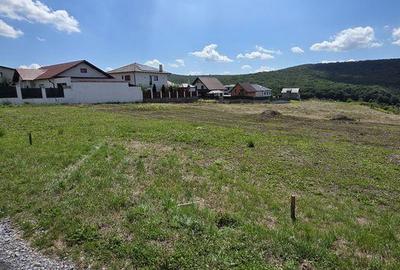 Teren de 700 mp, în Corunca - 5