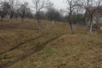 Teren de 2600 mp, în Fedeleșoiu - 3