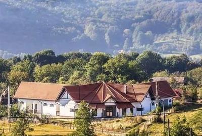 Casă cu 6 camere cu Teren 1973 Mp în Isverna - 10