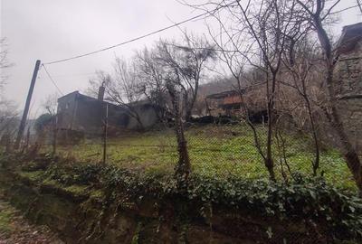 Casă individuală cu 4 camere cu Teren 468 Mp în Nord-Est - 25