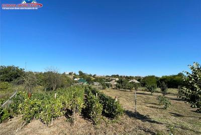 Teren de in localitatea Cataloi Tulcea - 10