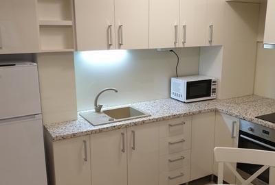 Apartament cu 2 camere semidecomandat în Unirii - 3