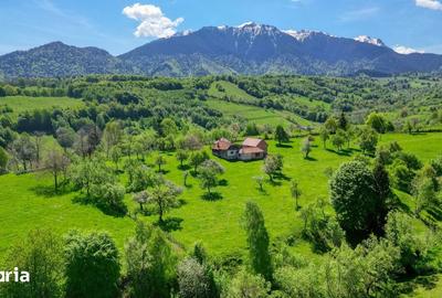 Teren de 15856 mp, în Bran