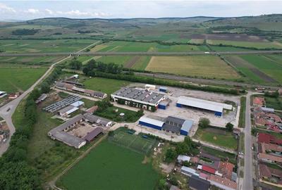 Complex Industrial strategic ?n Miercurea Sibiului,hale si 3,1 ha teren - 1