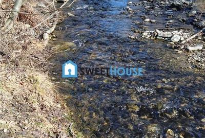 Spațiu comercial, în Dejani - 2