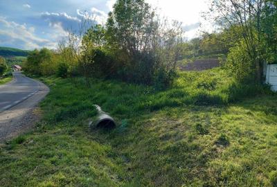 Spațiu comercial, în Papiu Ilarian - 2