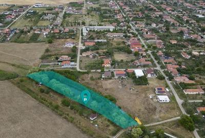 Teren de 7900 mp cu balta de pescuit in Frumu?eni - 2