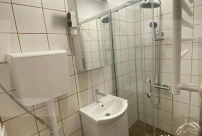 Garsonieră, mobilată în Buziașului