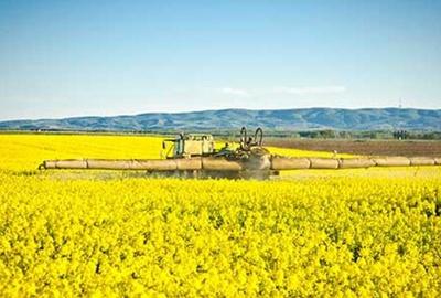 Teren agricol extravilan de 30000000 mp, în Dăbuleni - 6