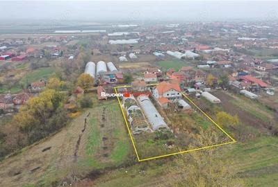 Casă cu Teren 2877 Mp în Mihai Bravu - 7
