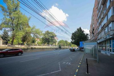 De vanzare - Apartament 4 camere decomandat - ultracentral zona Dacia - 20