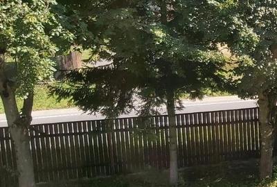 Teren de 2000 mp, în Timișu de Sus - 4