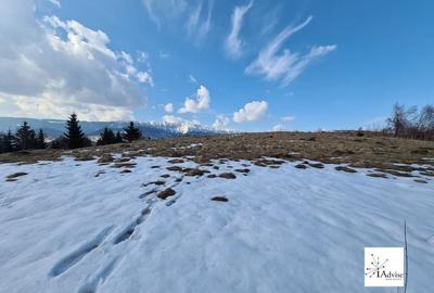 Teren De Vanzare In Sirnea - 13