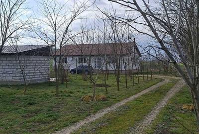 Teren de 90000 mp, în Peștera - 5