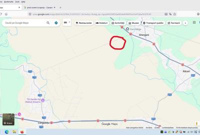 Teren de 25000 mp, în Ghergani - 2