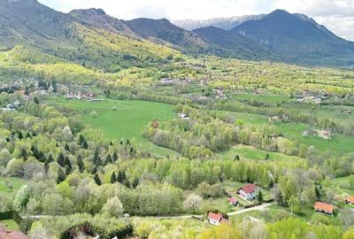 Teren intravilan Bran- Predelut - 26