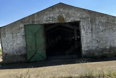 Ferma de vanzare Mara?e?ti - 4