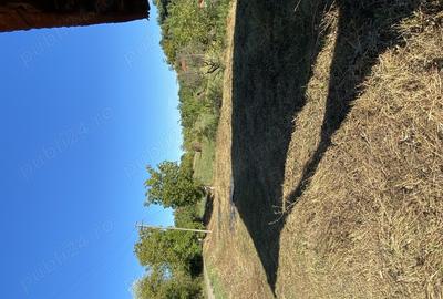 Casa + teren Certeju de Jos, Comuna Vorta ( Hunedoara) - 5