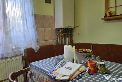 Apartament cu 4 camere semidecomandat în Gojdu - 10