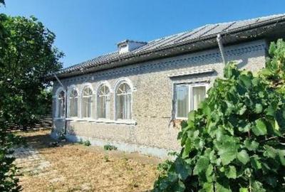 Casă cu 2 camere cu Teren 816 Mp în Curcani - 2