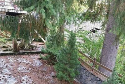 AZUGA VILA DE VACANTA CU VEDERE PE PARTIA SORICA- NECESITA RENOVARE - 7