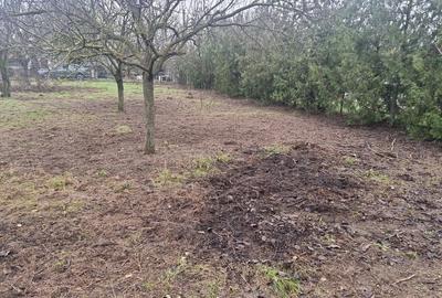 Casă cu 5 camere cu Teren 2800 Mp în Nuci