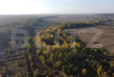Casă cu 2 camere cu Teren 1000 Mp în Valea - 8