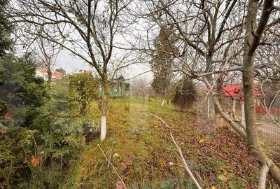 Casa Soroceni 2300mp - 8