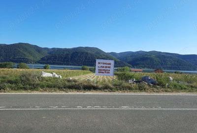 Teren de 2500 mp, în Berzasca - 10