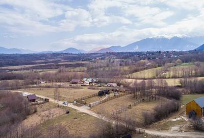 Teren Construcții intravilan de 850 mp, în Tohănița - 10