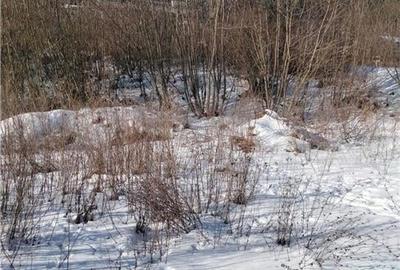 Teren Intravilan Sinaia 2255 mp - 5