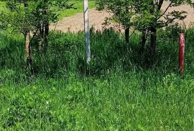 Spațiu comercial, în Hărman - 14