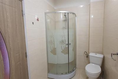 Apartament cu 2 camere nedecomandat, mobilat în Exterior Sud - 4