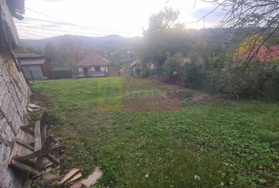 Casa batraneasca cu teren (4.910 mp) la Alunis - 9