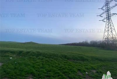 Teren intravilan de 15000 mp, în Sud-Vest - 2