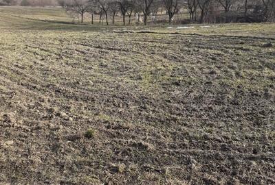 Spațiu comercial, în Sânmartin - 4