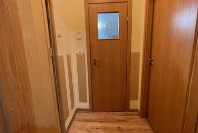 Apartament cu 2 camere semidecomandat, mobilat în Torontalului - 10