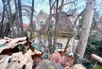 Conac Istoric de Vanzare Cluj ,Central - Locuinta Deosebita cu Teren Generos - 4